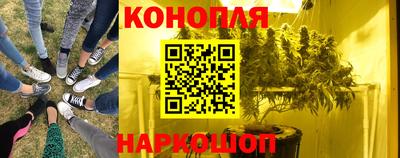 индика Гусиноозёрск