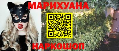 индика Гусиноозёрск