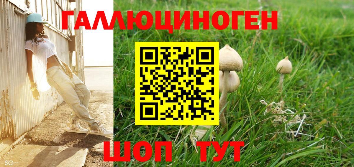 Галлюциногенные грибы мицелий Нерюнгри