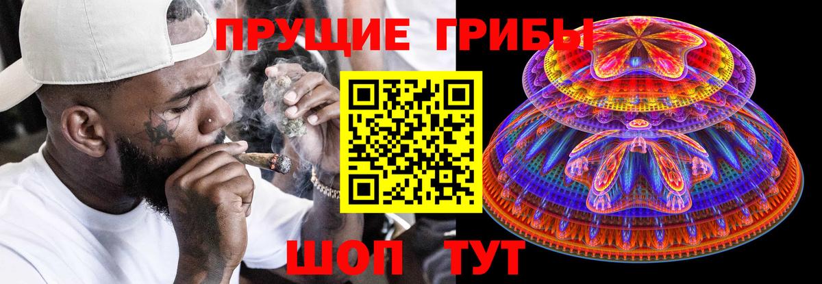 как найти наркотики  Вход с VPN  Псилоцибиновые грибы ЛСД  Нерюнгри  Галлюциногенные грибы прущие грибы 